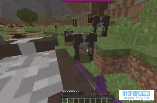 《我的世界》:这才是玩农场躲猫猫的正确姿