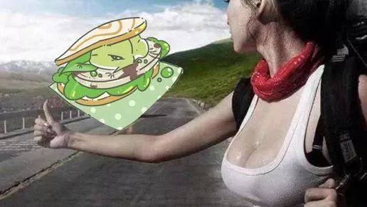 青蛙旅行来到川藏线,遇到穷游搭车的小姐姐