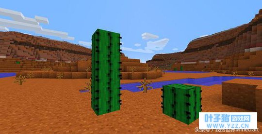 ���ҵ����硷ÿ�ܡ����顱ϵ�й�����������