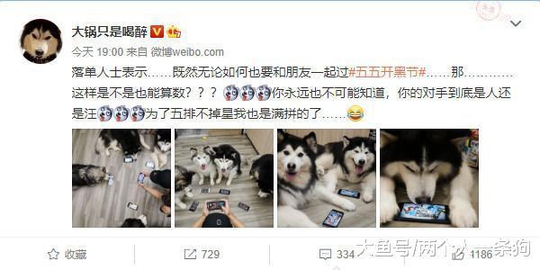 大锅家的狗给王者荣耀宣传, 网友: 你永远不