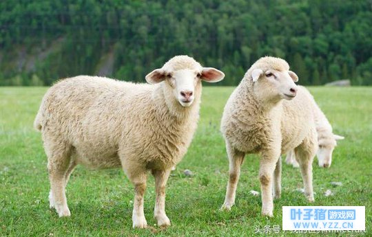 《我的世界》玩家的那些典型的“后遗症”