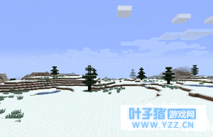 我的世界冰原介绍 冰原生物群系详解