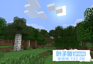 我的世界森林介绍 森林生物群系详解