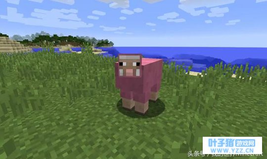 《我的世界》流言终结者6:想找到粉红羊还