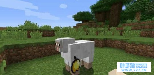 我的世界:这16个“不科学”的地方,在游戏