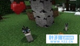 我的世界哪些动物可以驯服 我的世界怎么驯