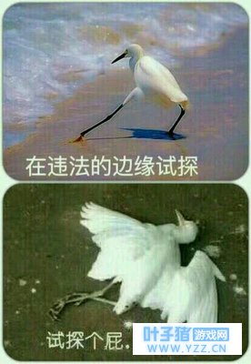 【第五人格最新求生者】掌灯人 囹阁