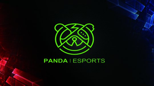 PANDA羺