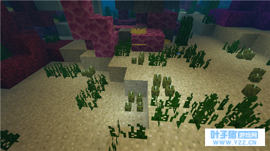 海泡菜、新木制品get《我的世界》海洋版本