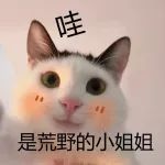 划重点!这里有敲可爱小姐姐出没