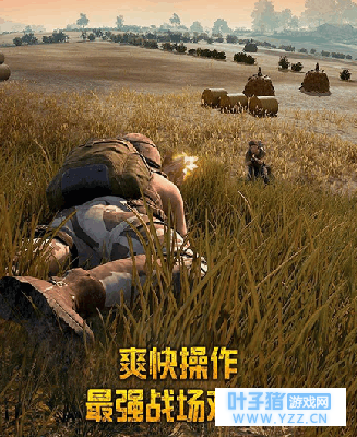 《绝地求生: 刺激战场》, 老司机都知道的资