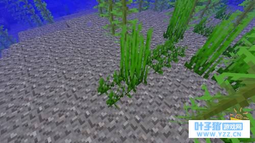 我的世界海草怎么种 海草种植方法攻略