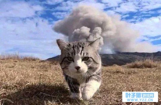 һֻ���д󽫷緶�������ˣ�������������