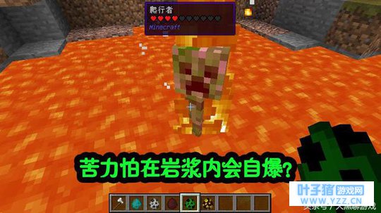 我的世界:把这些怪物扔进岩浆,苦力怕会自