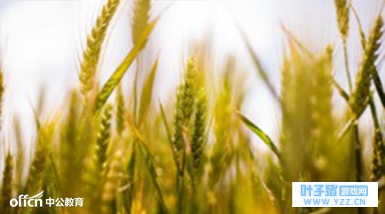 Ϋ����ҵ��λ�����ȵ㣺�ߺ�ġ��������ܡ�