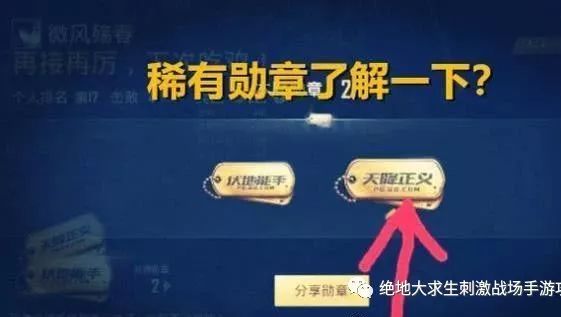 绝地求生刺激战场玩家意外获得最稀有勋章,