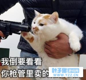 【第五人格】联合狩猎双监管模式