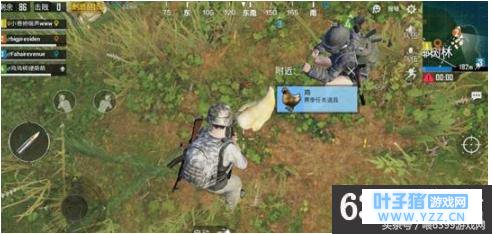 绝地求生刺激战场鸡刷新点位置 绝地求生刺