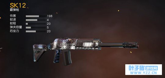 荒野行动:只适合过度使用的枪械,最后一把