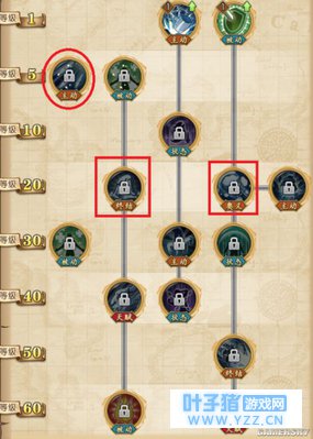 航海王燃烧意志MR3加点推荐 MR怎么点技能