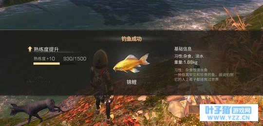 明日之后钓锦鲤用什么鱼饵 明日之后钓锦鲤