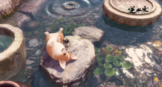 ���컯�չ�Ȼ���� Ϊʲô�������ѷ����Ʋ�?