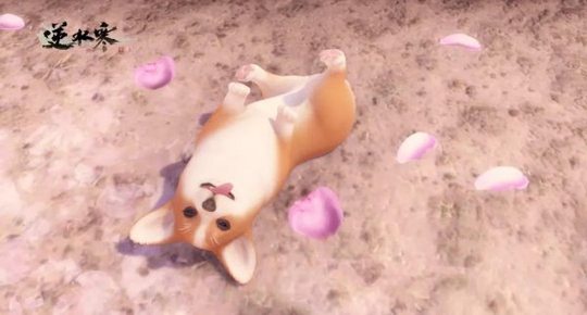 ���컯�չ�Ȼ���� Ϊʲô�������ѷ����Ʋ�?