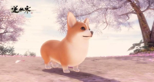 ֪�����ṩ���������ɷ���Ƭ 