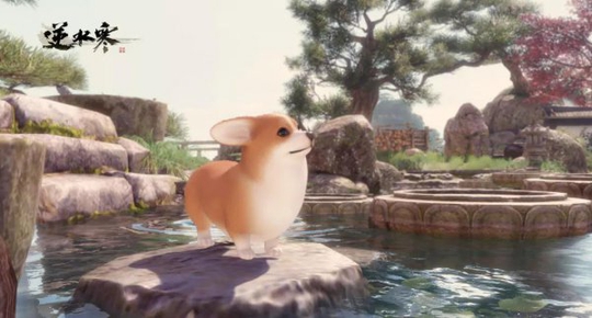 ���컯�չ�Ȼ���� Ϊʲô�������ѷ����Ʋ�?