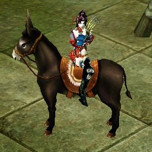 40级通用坐骑-毛驴-40万