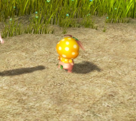 ٻŮĻʷȳ——Ҷչʾ