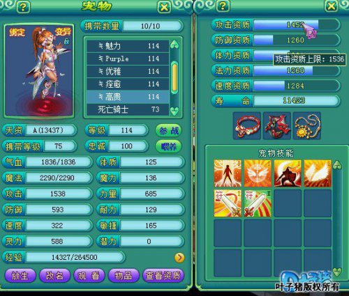 ����109����չʾ