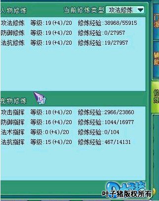 神武115级方寸展示