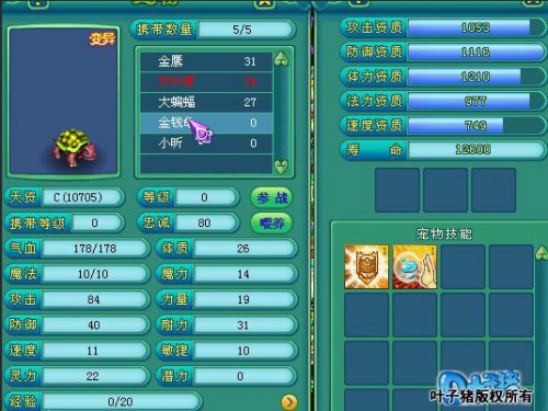 玩家第一只宝宝