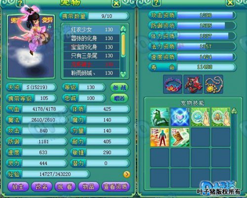 服战玩家宠物展示