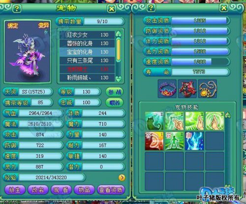 服战玩家宠物展示