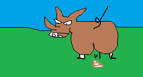 大家一起来猜宠物