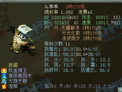 ��������Ҷ