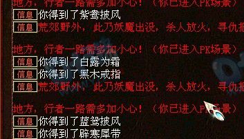 �ڱ���¼��ʮ��