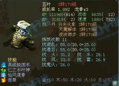 仙风道骨大五叶