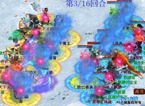 天下队的化无妃子