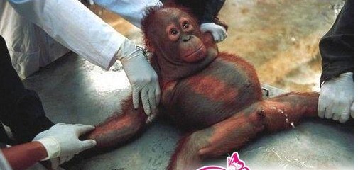 金不换速来与我们切磋“施法动作”