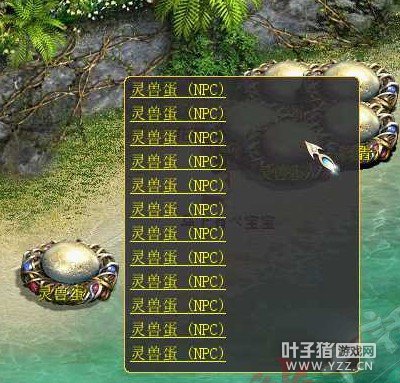 这么多蛋挤在一起,疼吗?