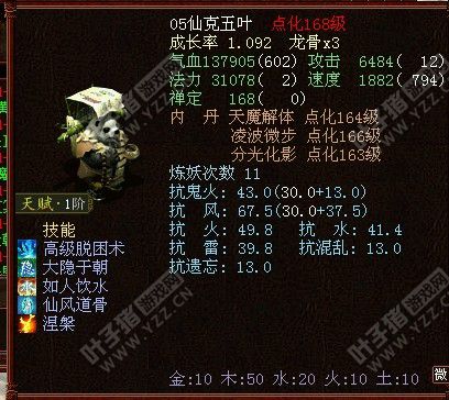 五开隐身大五叶