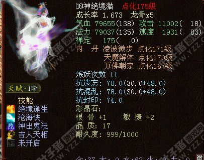 绝境妃子1.3万