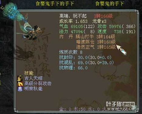 明察秋毫大孔雀