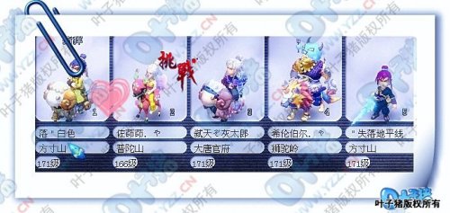 团队展示