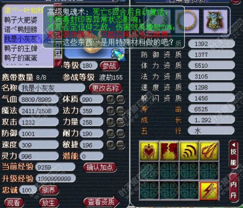 普陀