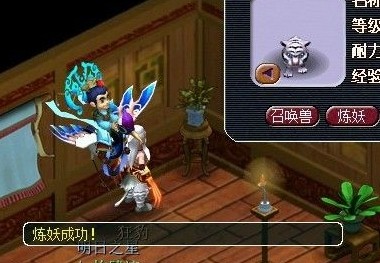 直播洗变异