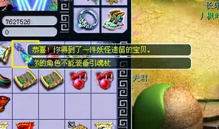 直播五宝